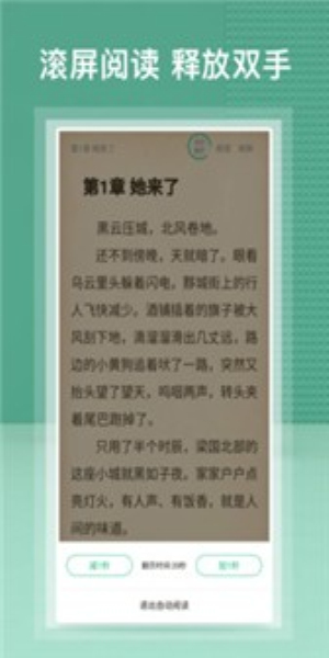 蜂毒小说