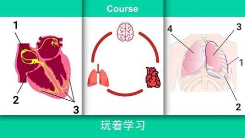 真实医疗模拟器