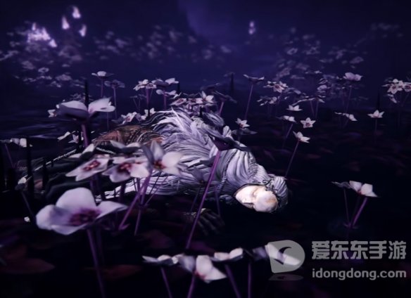 《艾尔登法环》DLC新boss或NPC剪影预览