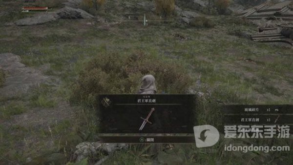 《艾尔登法环》无限刷金币攻略 快速刷钱地点
