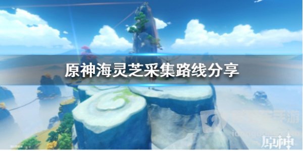 万叶突破材料海灵芝在哪 海灵芝采集路线