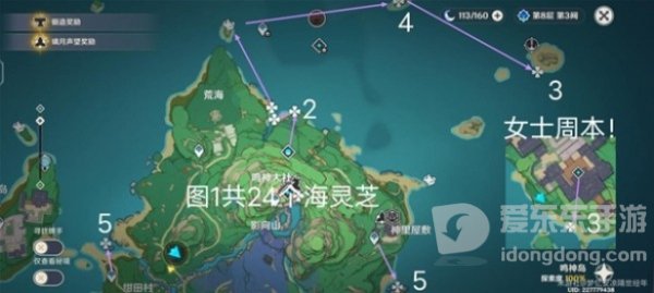 万叶突破材料海灵芝在哪 海灵芝采集路线