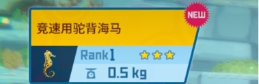 《潜水员戴夫》海马捕捉方法 《潜水员戴夫》捕虫网获取方法