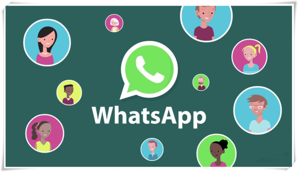 whatsapp官方版 