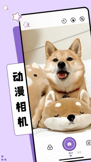 z动漫去广告版