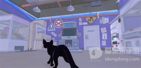 小猫咪大城市所有鸭鸭在哪里 小猫咪大城市所有鸭鸭位置一览