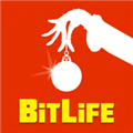 bitlife