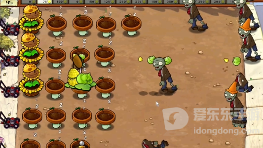 植物大战僵尸杂交版冒险模式第二十六关怎么过 冒险模式第二十五关布局攻略