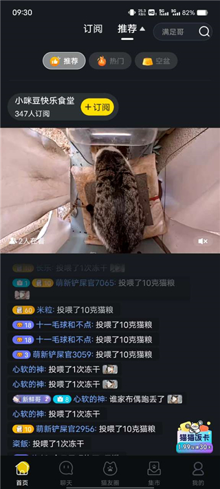 街猫早期版本