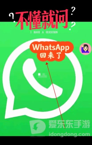 whatsapp2024最新版本