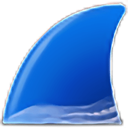 wireshark