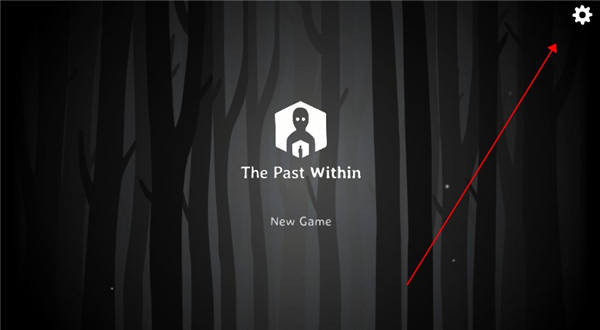 the past within联机版