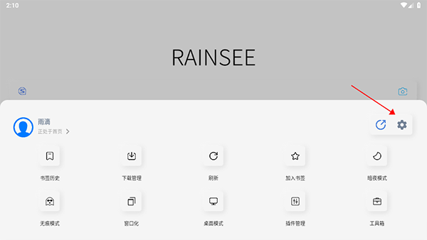 rains浏览器