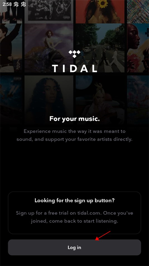 tidal中文版