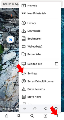 Brave浏览器手机版