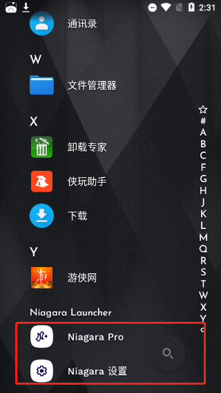 Niagara Launcher pro