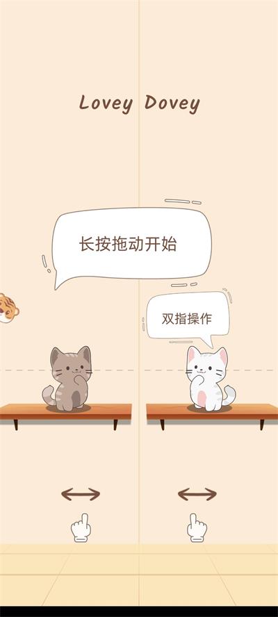 猫咪养成日记