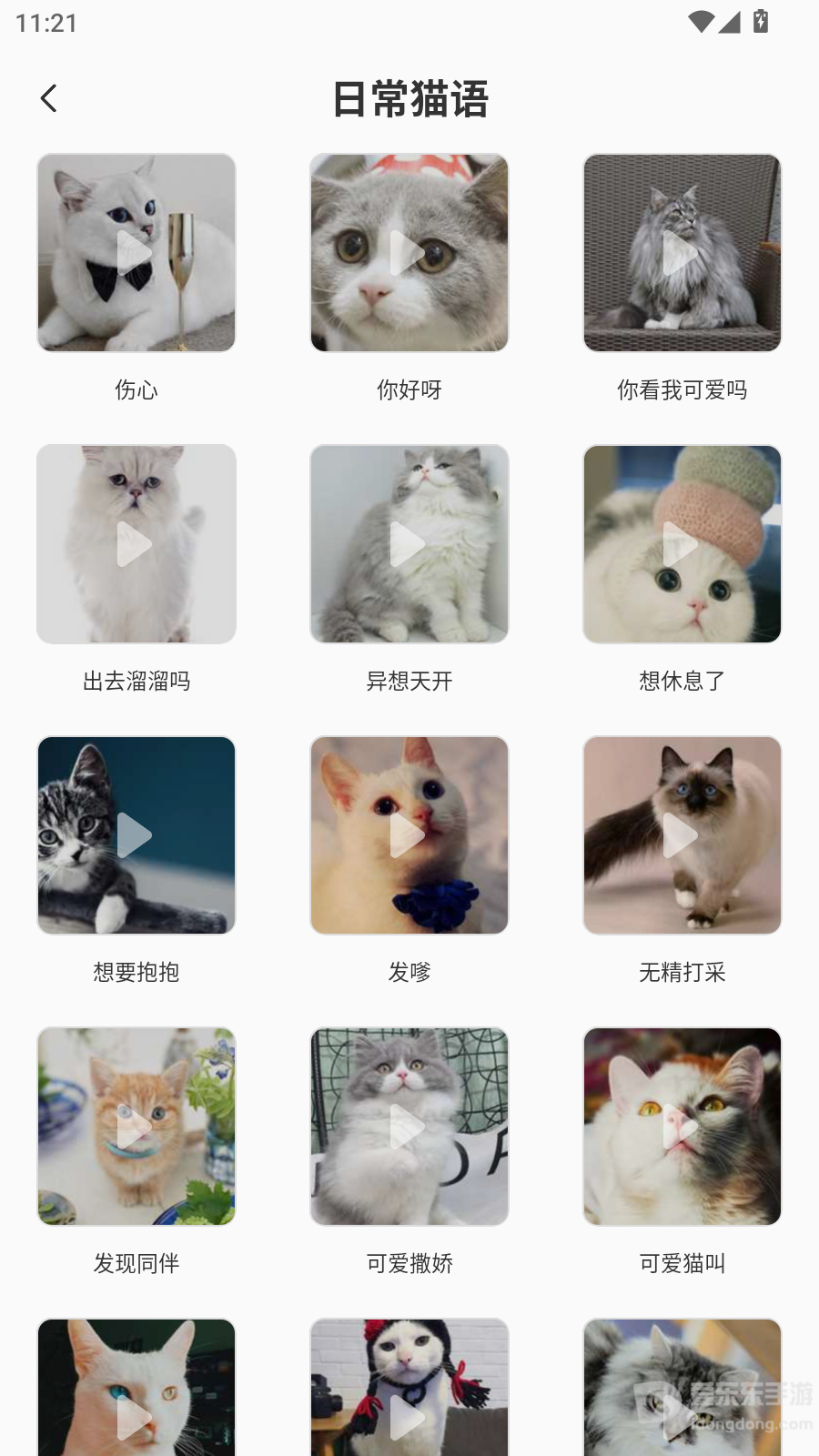 猫咪翻译机