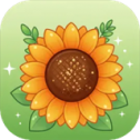 花朵物语