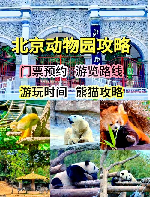 北京动物园门票预约指南