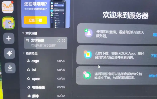 kook怎么放音乐