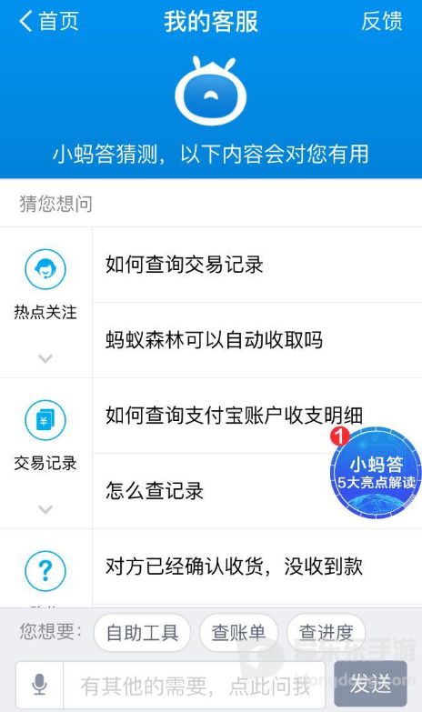 支付宝客服咨询相关页面，可用于查询账单删除后的恢复方式