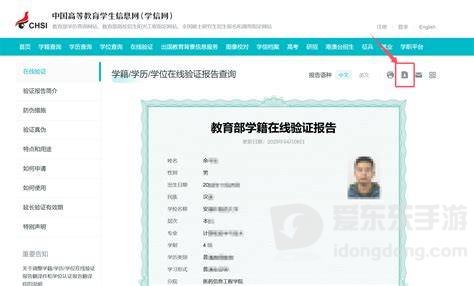 学信网在线验证报告查看页面参考图，用于核对报告内容及在线验证码