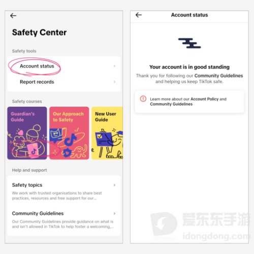 TikTok安全中心中的账号状态页面，展示账号状态和相关检查信息